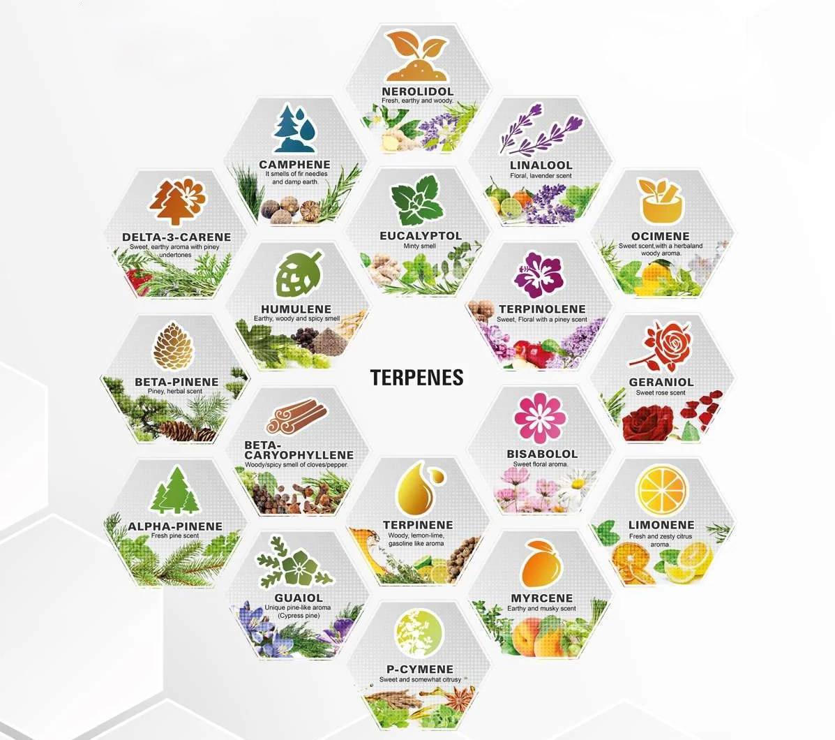 Terpenes Labels Terpenes - PlantOgram